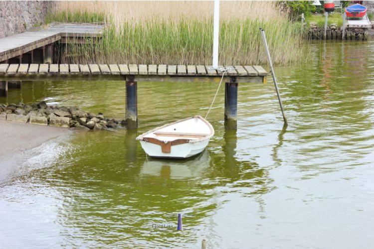 Hausboot Fjord Aries Mit Dachterrasse In Schleswig Hotel Екстериор снимка
